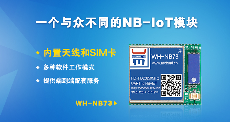 “有人”做了一个与众不同的NB-IoT？