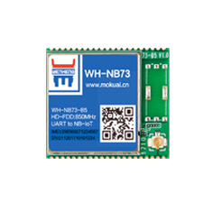 NB-IoT？