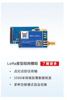 配电运维解决方案相关产品：lora星型组网模组