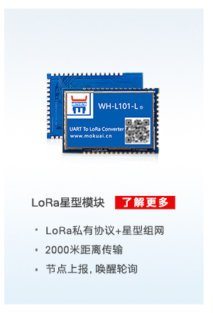 lora星型？