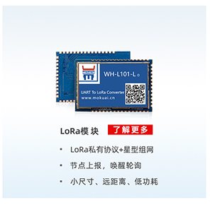 lora？