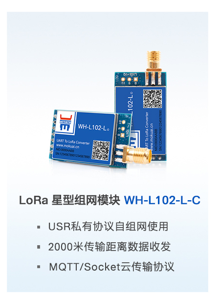 lora？