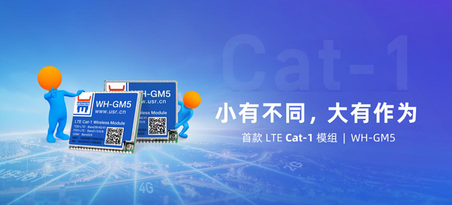 Cat-1？镚M5