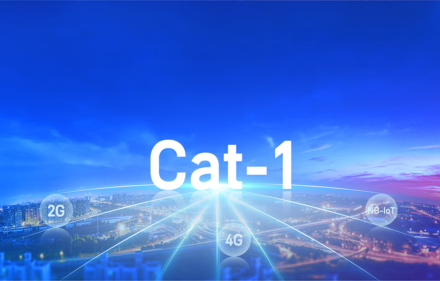 Cat-1？榈奈蠢词谐