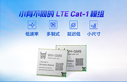 LTE Cat-1？ GM5