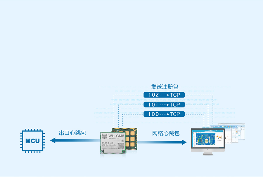 Cat-1？榈淖⒉岚